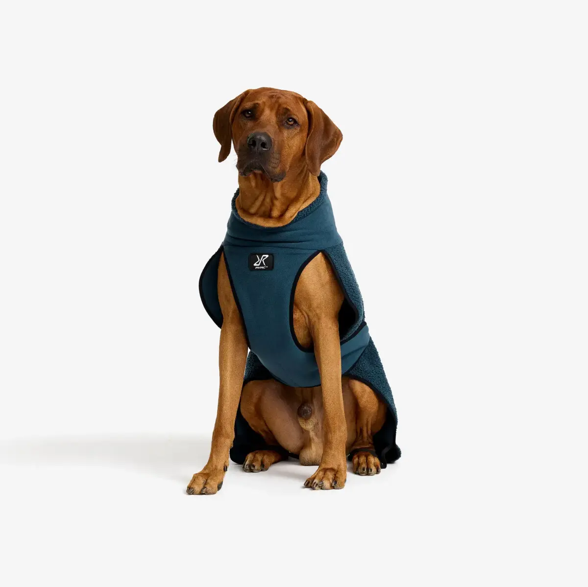 Bigfoot hundjacka Dog Moonlit Ocean