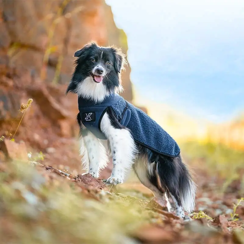 Bigfoot hundjacka Dog Moonlit Ocean