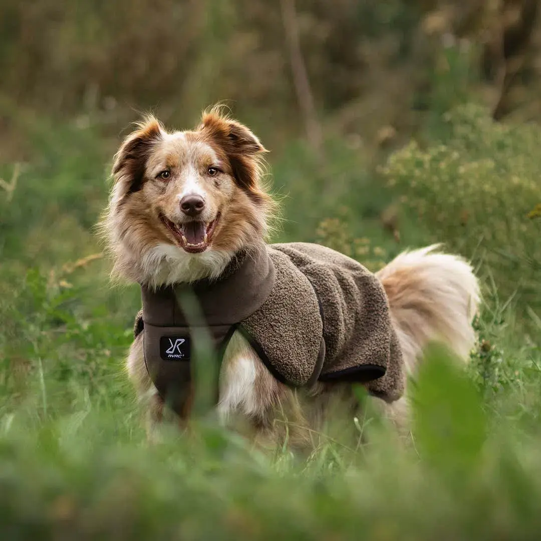 Bigfoot hundjacka Dog Mud