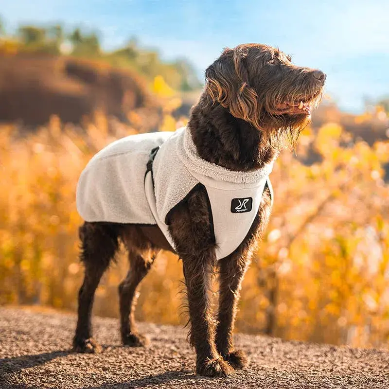 Bigfoot hundjacka Dog Peyote