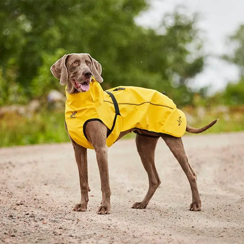 Cyclone hundjacka Dog Golden Yellow