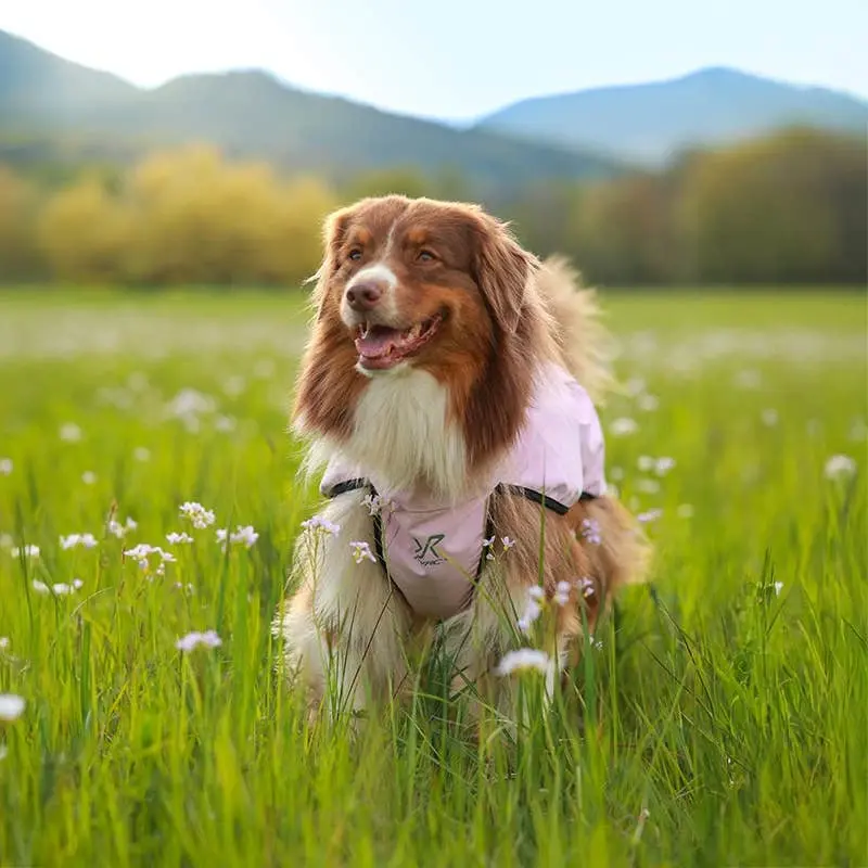 Cyclone hundjacka Dog Pink Mist