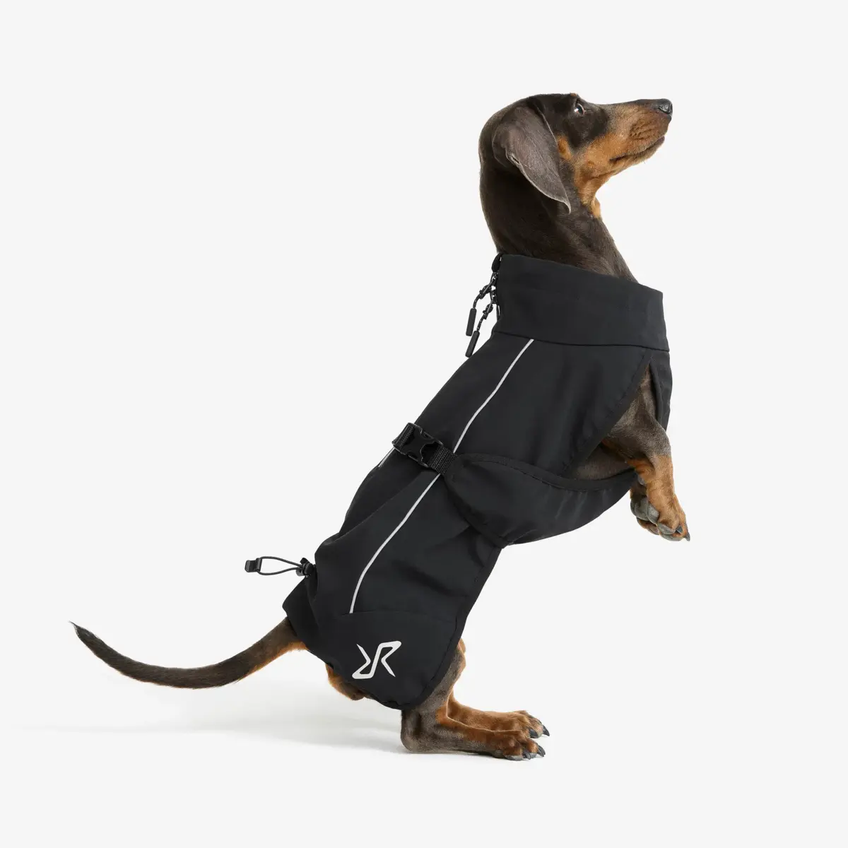 Cyclone hundjacka Hund Svart Cyclone hundjacka Hund Svart