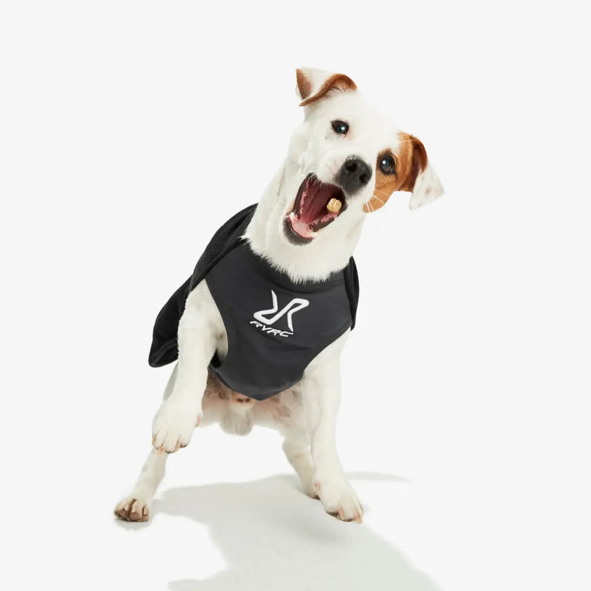 Trekker Fleece Dog Caviar Trekker Fleece Dog Caviar